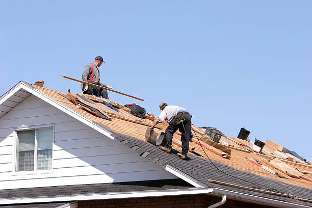Best Rubber Roofing (EPDM, TPO)  in Homosassa Springs, FL